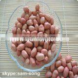 Shandong Origin Peanuts