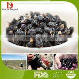 Supply Black Goji Berry thumbnail-3