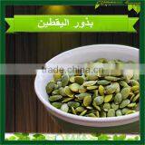 Grade A Shine Skin Pumpkin Seed Kernels Pumpkin Seed Kernels Shine Skin & GWS thumbnail-5
