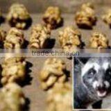 Certified 100% INDONESIAN CIVET COFFEE