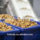 Walnuts Kernal Dryer thumbnail-5