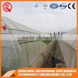 China Supplier Multi-span Plastic Film Agricultural Greenhouse for Sale thumbnail-4