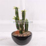 Artificial Saguaro Cactus , Artificial Cactus Plants , Plastic Cactus thumbnail-3
