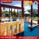 High Quality Gloden Shell Marble thumbnail-2