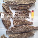 Oudh Agarwood of Vietnam thumbnail-1