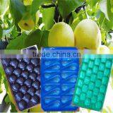 Factory Directly Eco-friendly Colorful PP Plastic Thermal Food Container thumbnail-6