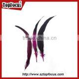 Lower Prices Artificial Dyed Rooster Coque Tail Wholesale Feathers Types thumbnail-4