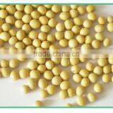 Soybean Fiber thumbnail-1