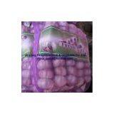 China Fresh Garlic thumbnail-1