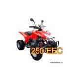 Sell 250cc EEC Approved ATV