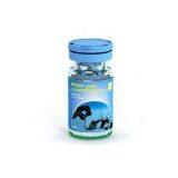 Effective Cheap Diet Pill