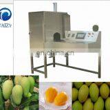 Industrial Mango Peeler Kiwi Fruit Peeling Machine Apple and Persimmon Fruit and Vegetable Peeling and Cutting Machine thumbnail-1