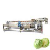 China Made Commercial Fruit Vegetable Washer Lettuce Spinach Washer Cleaner Machine for Sale thumbnail-5