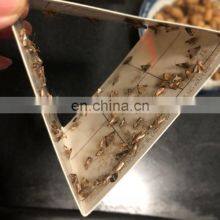 OEM ODM Factory Moth Glue Trap TRAPS Insect Control Ants >480 Hours >60 Pieces Disposable Eco-friendly Stocked Regular ≤0.5kg thumbnail-5