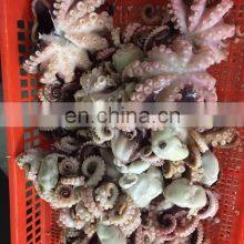 Best Selling Seafood Snacks Frozen Roasted Octopus Ball thumbnail-4