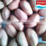 Bold Peanut Kernels
