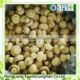 New Season of Small Size Preserved Mushroom thumbnail-1