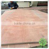 Best Price Commercial Plywood Home Furniture Plywood in Plb thumbnail-2