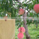 Peach Paper Bag For Fruit Grow