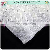 Square Hole Design White Cotton Swiss Voile Lace Embroidery Fabric thumbnail-4