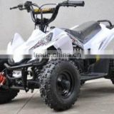 CE Adult 48V 1000W Electric ATV