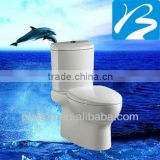 Ceramic Two Piece Sanitary Ware Toilet Product For Sale