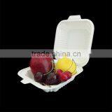 Food Packaging 550ml Disposable Lunch Box