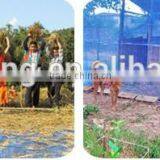 Thailand Hot Selling HDPE Blue Woven Nylon Net(best Price With High Quality,short Delivery Time and Good Aftersale Service) thumbnail-5