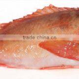 Redfish Sebastes Marinus thumbnail-1