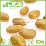 BRC Certified Peanuts Roasted Peanuts 1kg Price in Bulk Packing For Sale thumbnail-4