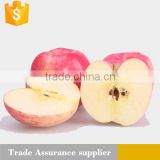 china fuji apple price