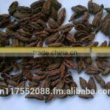 Vietnam High Quality Black Cardamom thumbnail-2