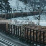 Wood round logs /Timber Log / Sawlogs / RUSSIAN ORIGIN