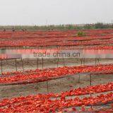 Sun Dried Tomato Halves for Delicious Sauces thumbnail-2