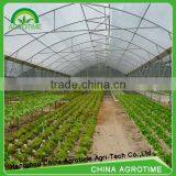 Top Ventilation Butterfly Greenhouse for Sale thumbnail-3