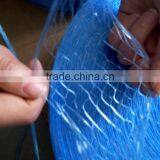 Blue Color 3 Strands Twisted Polypropylene Raffia Rope thumbnail-6