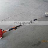 COFFEE BEANS PICKING thumbnail-3