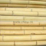 Structural Bamboo Pole thumbnail-1