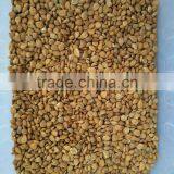 Intelligent Almond Color Sorting Machine thumbnail-6