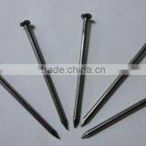 Common iron nail metal nails best price from china manufacturer