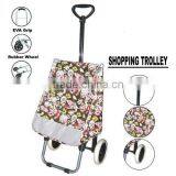 Shopping Trolley thumbnail-1