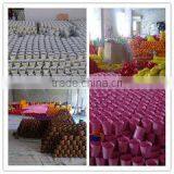 Ever Group Art And Craft Co., Ltd. company overview - view 3 thumbnail