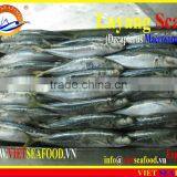FROZEN LAYANG SCAD (MUROAJI) WHOLE ROUND thumbnail-2