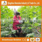 Heracles Trade Assurance Low Cost Greenhouse for Agriculture thumbnail-4