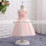 China Supplier Short Pink Flower Girl Dress for 4 Years Girl thumbnail-2