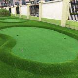 China Hot Sale Dorelom Durable 15mm Artificial Putting Green Turf Grass for Golf thumbnail-5