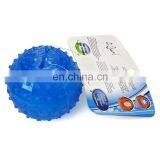 Summer Cooling ICE Pet Toys Interactive Toy Freeze Ball Bouncy Ball for Dog thumbnail-3