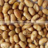 Instant Organic Roasted Soybean thumbnail-1