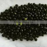 Organic Black Bean With Green Kernel thumbnail-1