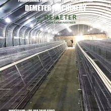 Battery Cage System Manufacturers & Supplier thumbnail-3